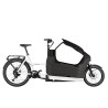 Vélo cargo électrique Riese & Müller Packster2 70 Family