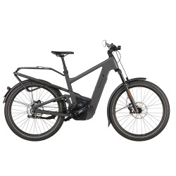 Speed bike Riese & Müller Delite5 GT HS stone grey