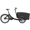 Triporteur électrique Triobike Boxter CL