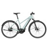 VTC électrique Riese & Müller Roadster4 Mixte vario salvia