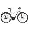 Speed bike Riese & Müller Roadster4 Mixte vario HS crystal white